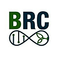 BRC